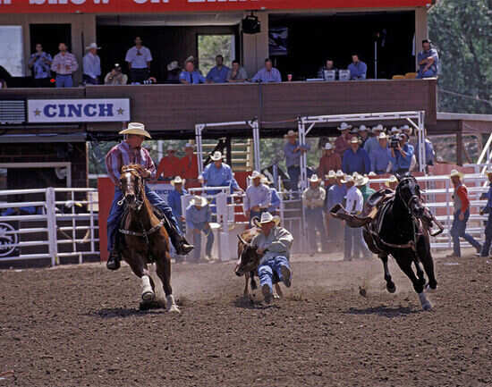 Attend the rodeo