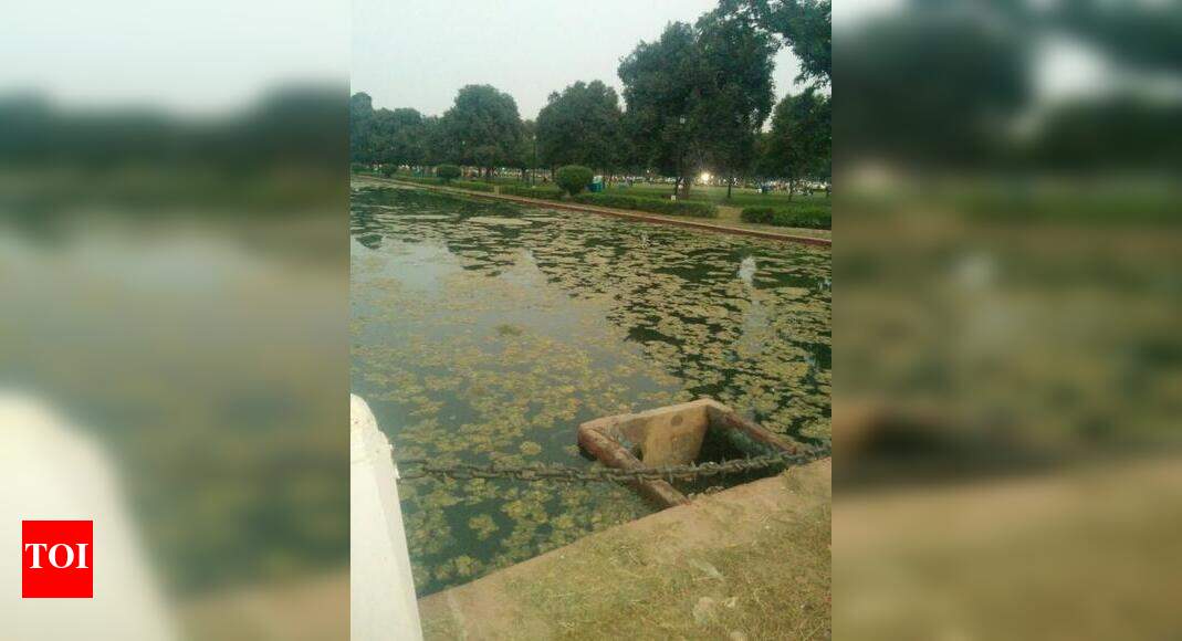Rajpath ponds breed mosquitoes Times of India