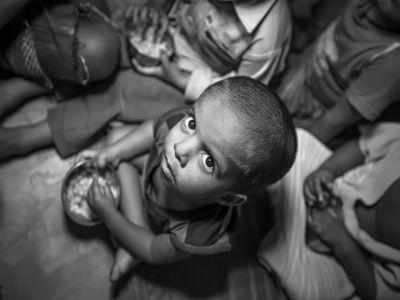HC lambasts Maharashtra govt over starvation deaths
