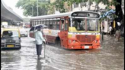 Maharashtra: Dahanu gets 529mm rain, a 58-year record