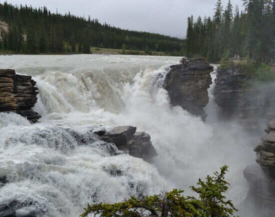 Athabasca Falls