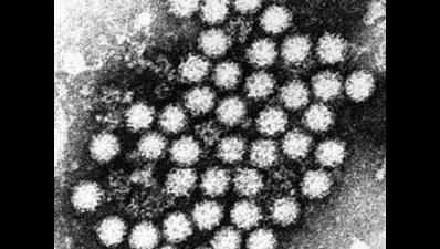 Wild Type 2 poliovirus found in Hyderabad