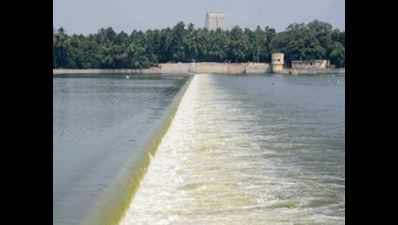 Farmer leader calls for revival of Cauvery Family as solution