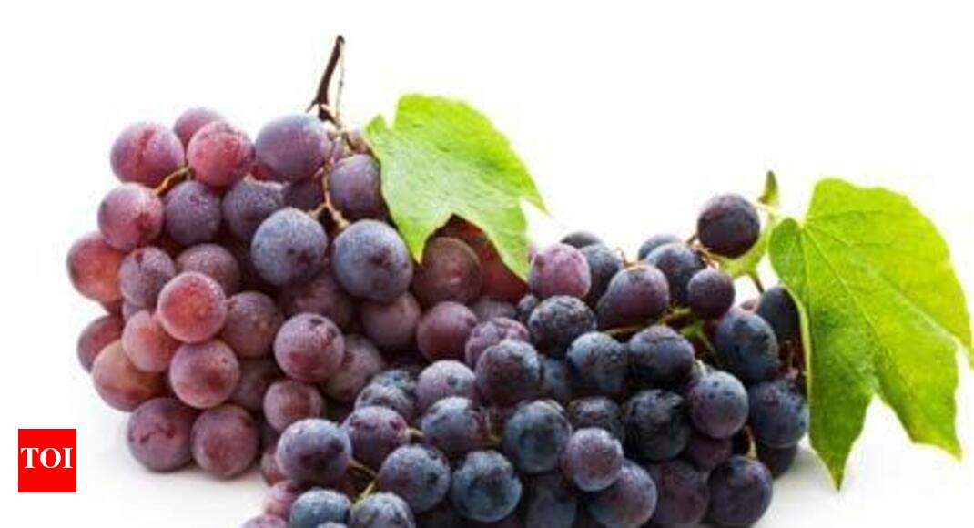 Nashik eyes 20 rise in export of grapes in coming 201617 grape season Nashik News Times of