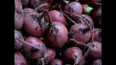 Agreement signed on beetroot juice production