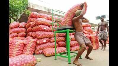 Onion exports up over 73% in first quarter