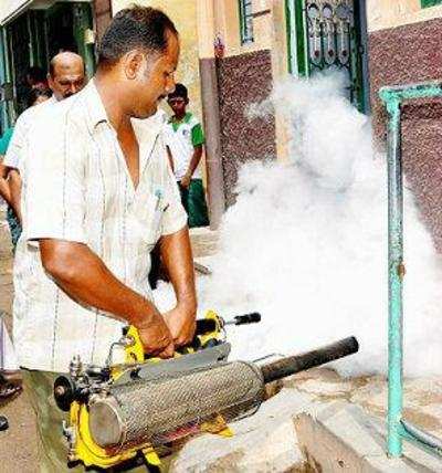 No fogging leading to spurt in dengue cases: Residents