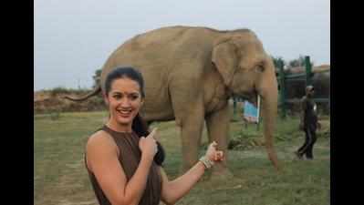 Miss Universe Great Britain meets rescued elephants in Mathura