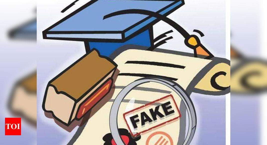 Girl Caught Using Fake Certificate Shimla News Times Of India