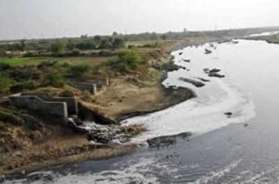 63% of sewage flows into rivers untreated every day: Central Pollution Control Board