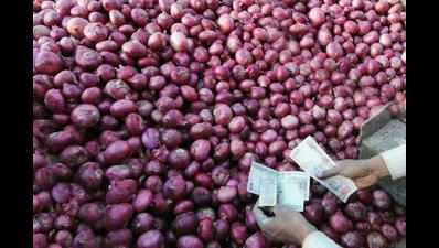 Onion farmers launch indefinite hunger stir