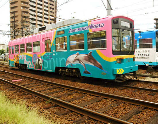 Take a tram ride around the city