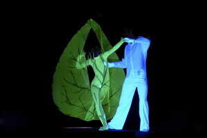 Black Light Theatre