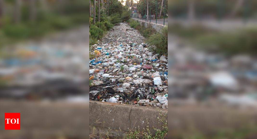 A canal of waste - Times of India