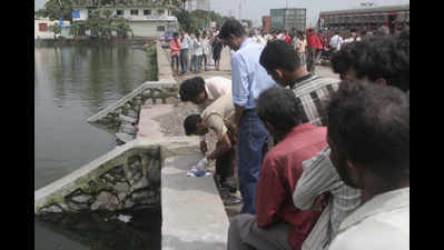 <arttitle><p>Rabale pond along arterial TB road turns “Dhobi Ghat’, footpaths blocked</p></arttitle>