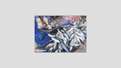 <arttitle><p>The economics of sardine imports</p></arttitle>