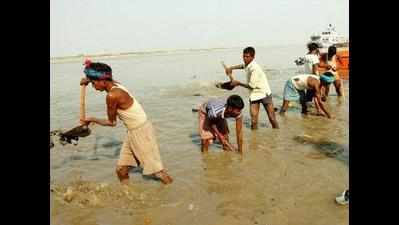 Volunteers, students clean up Nandini river
