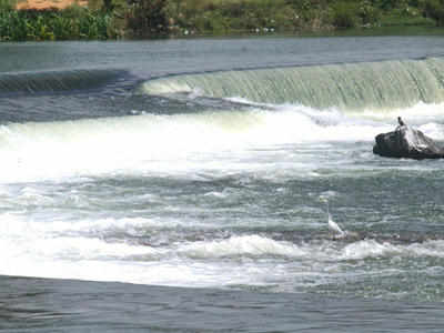 Under presssure from SC, Karnataka decides to release Cauvery water