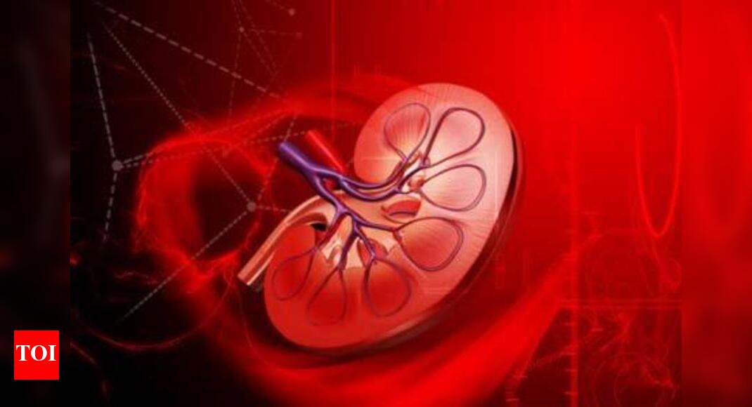 Kidney Patients Meeting Early Deaths Hyderabad News Times Of India