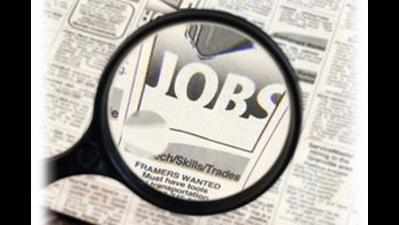 Demand for 17% government jobs hots up