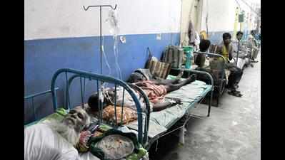Japanese encephalitis kills 30 children in month; NHRC seeks report from Odisha govt