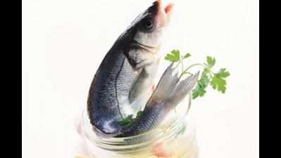 <arttitle><p>New mackerel species discovered off Kerala coast</p></arttitle>