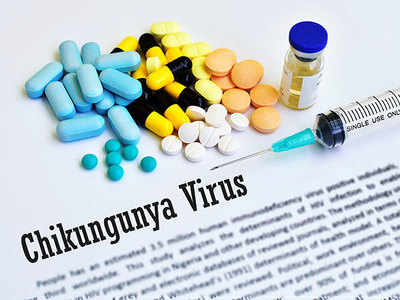 All you need to know about Chikungunya