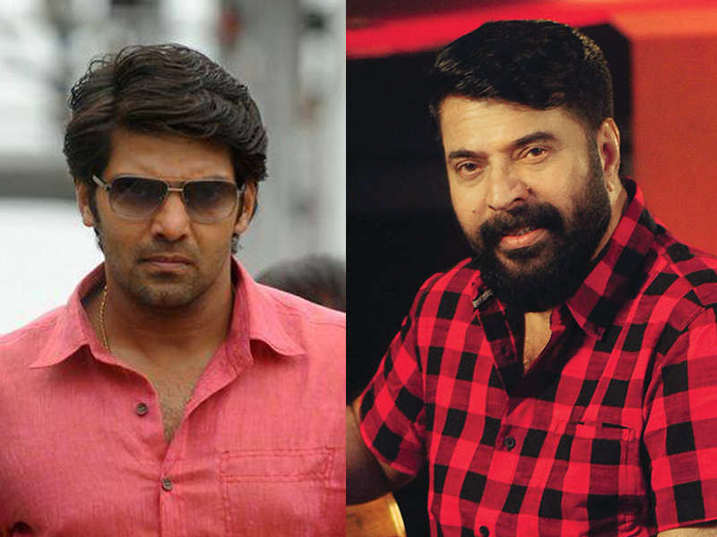 Miya Mammootty, Arya's roles in the great father revealed  Malayalam