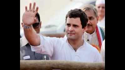 <arttitle><b>Will remain barefoot till Rahul is PM, says ‘super-fan' who travelled with Gandhi scion </b></arttitle>