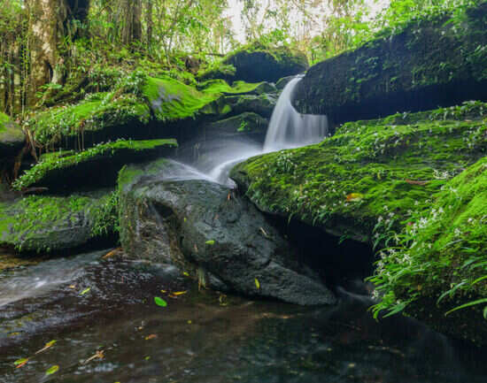 Bolaven Plateau