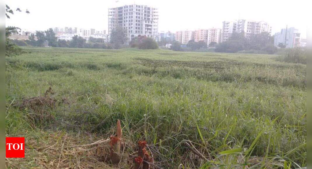Iblur Lake does a vanishing act Times of India