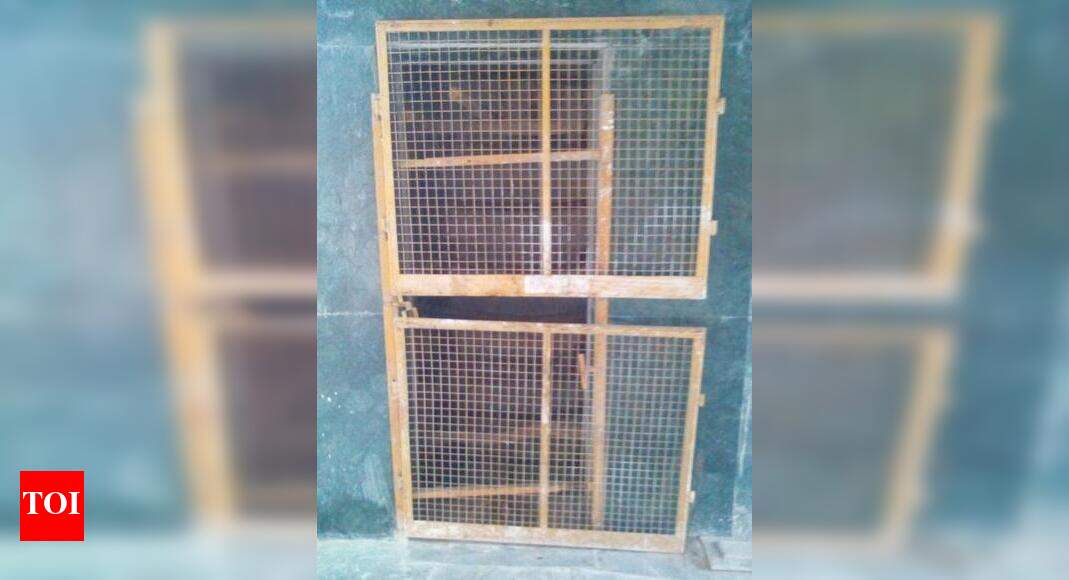 Lift yet to be installed in VK DDA flats Times of India