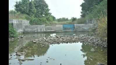 Mandsaur Ayurveda doctor turns 'water man' for 11 villages