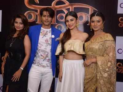 Naagin Season 2 premiere show: Shivanya decides to get her daughter married to save her from becoming a naagin