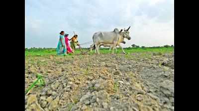 Team to survey parched lands in three delta districts today