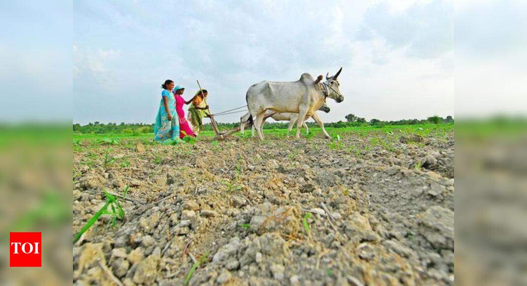 Team to survey parched lands in three delta districts today | Trichy ...