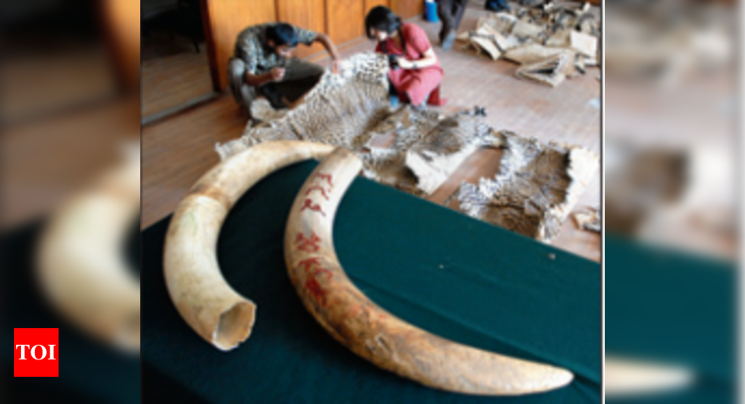 Call detail records enable forest officials in their hunt for poachers ...