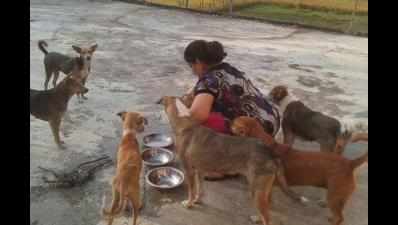 Uttarakhand sisters run school, spend earnings to care for stray, sick animals