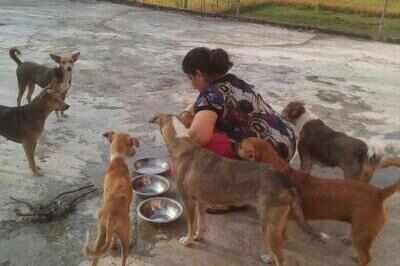 Uttarakhand sisters run school, spend earnings to care for stray, sick animals | Dehradun News - Times of India Uttarakhand sisters run school, spend earnings to care for stray, sick animals | Dehradun News - Times of India