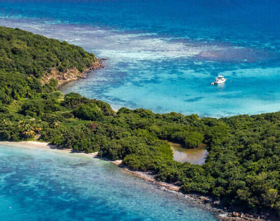 Tamarindo