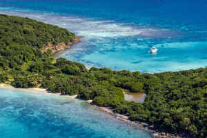 Tamarindo