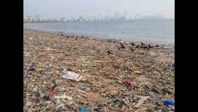 At Chhoti Chowpatty, plastic trash endangers marine life