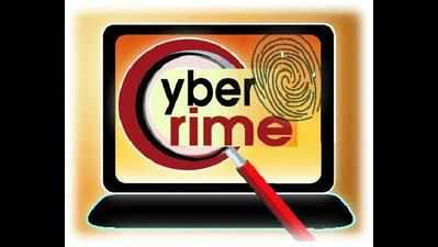 Fraudsters spin virtual web: 81% rise in cyber crime cases in 1 year