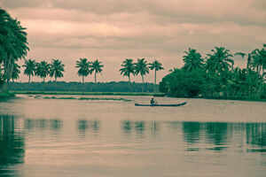 Kerala, of coconut groves and sunsets&nbsp;