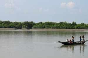 Sunderbans, tigers on prowl&nbsp;