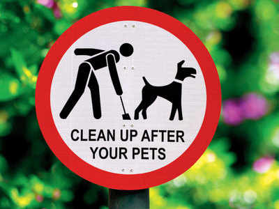 New ‘scoop the poop’ rule sees fewer pets at Marine Drive