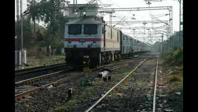 Work on Rishikesh-Karnaprayag railway line to begin in December