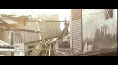 Three kids die as wall collapses in Panna dist