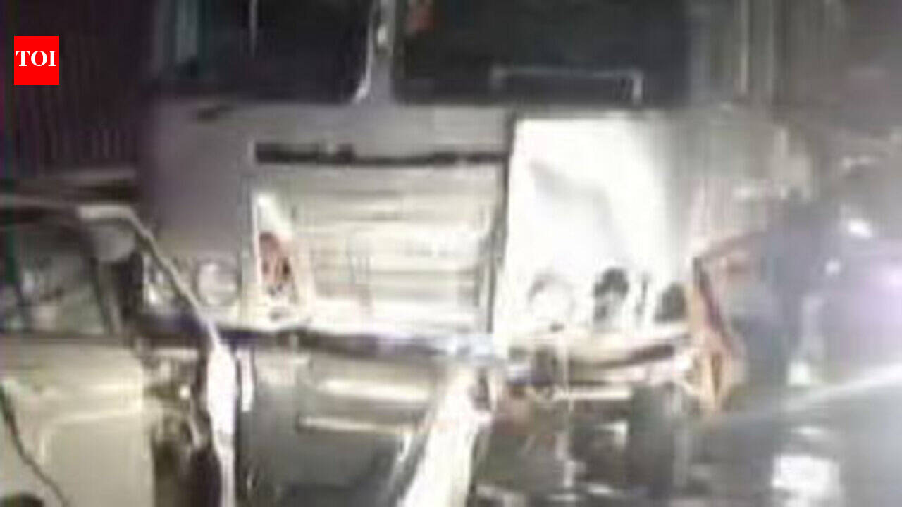 Five of family killed as car rams into bus to avoid hitting dog