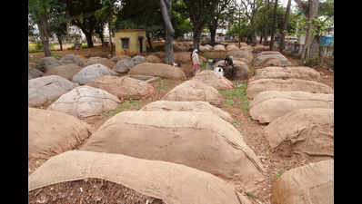 Over 12,000 gunny bags arrive in US Nagar, paddy farmers relieved